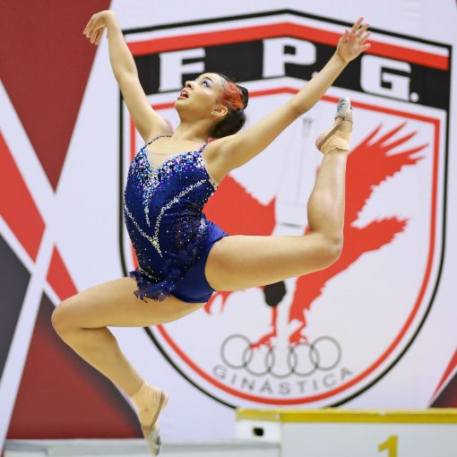 Event cover CAMPEONATO ESTADUAL DE GIN�STICA R�TMICA DIAS: 18 E 19/04