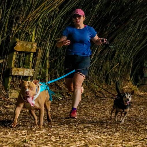 Capa do evento Treino de Canicross + N�ver do Bob�