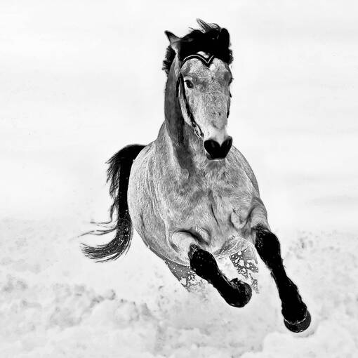 Event cover Kumla ridklubb t�vling