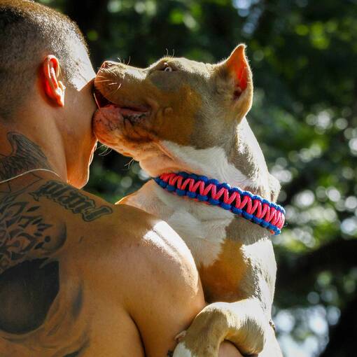 Event cover TREINO CAMPINAS/LAGOA DO TAQUARAL - 01/03 - @RBS.CLICKS