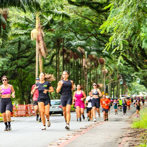 Event cover Treino Usp-Solidario 