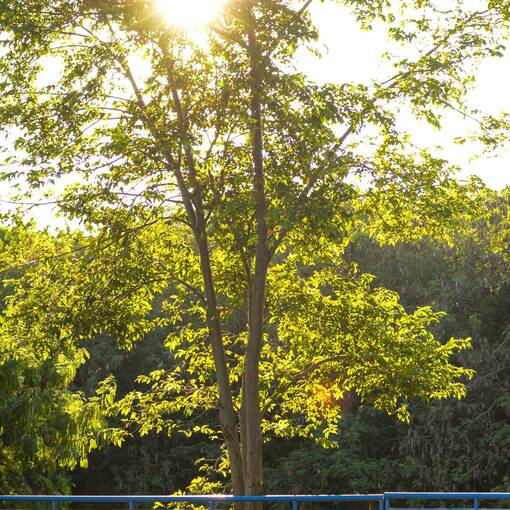 Event cover Av Dom Aguirre S�bado Sorocaba