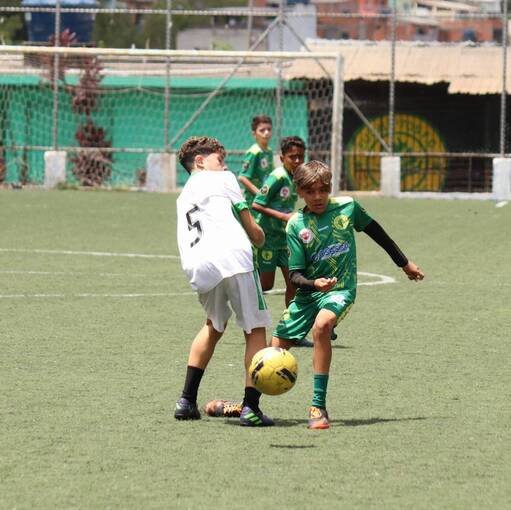 Event cover EUCALIPTO 