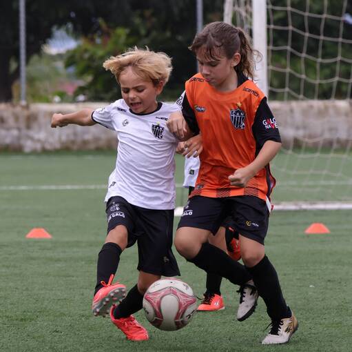 Event cover Galo nacional X Galo 