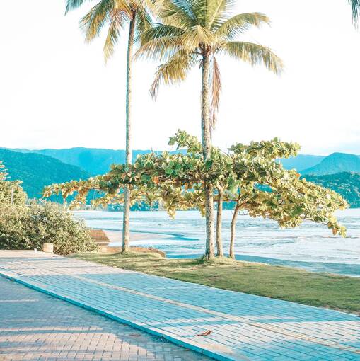 Event cover Treinos Ubatuba Domingo 01/03/26