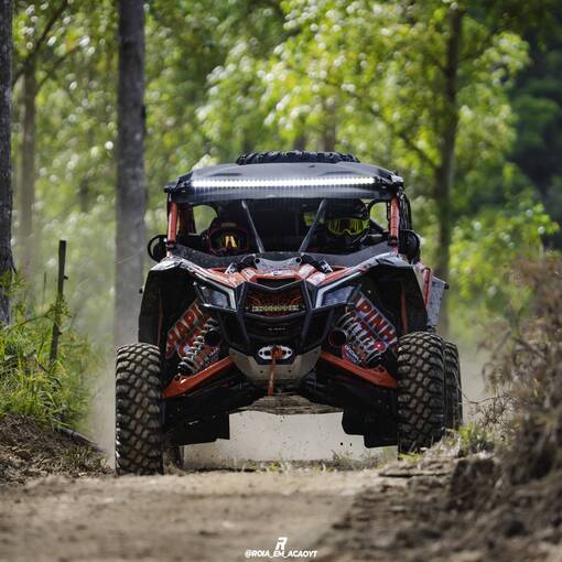 Couverture de l'�v�nement 11� Trilha Ecol�gica de Vitor Meireles