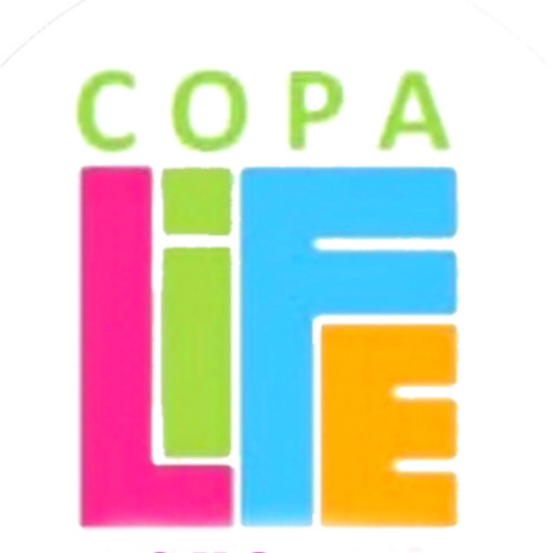 Portada del evento Copa Life 