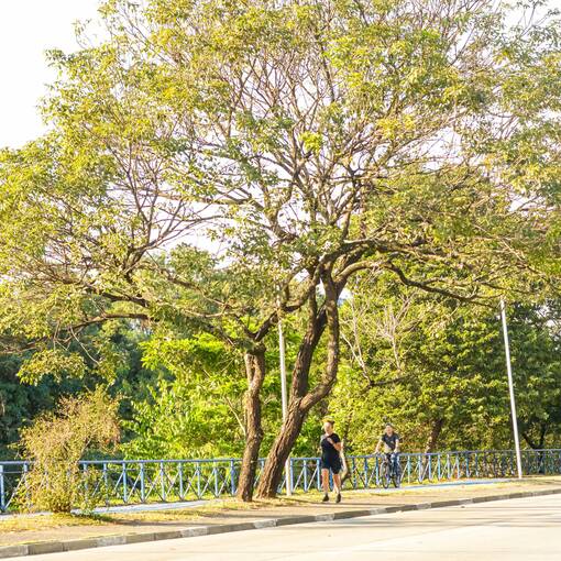 Copertura dell'evento Av. Dom Aguirre s�bado manh�