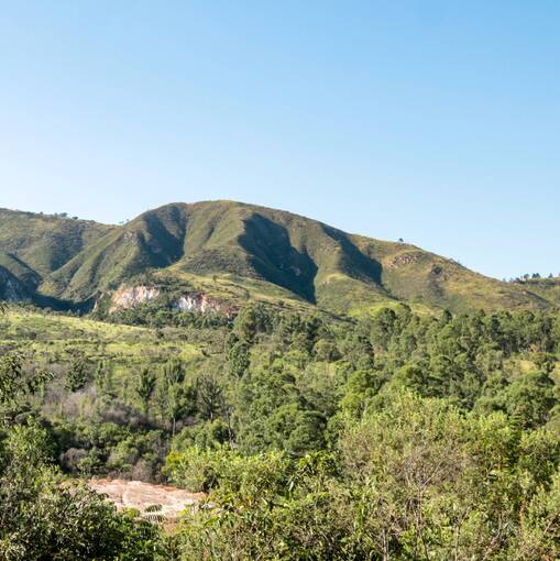 Event cover  voturuna life park trail