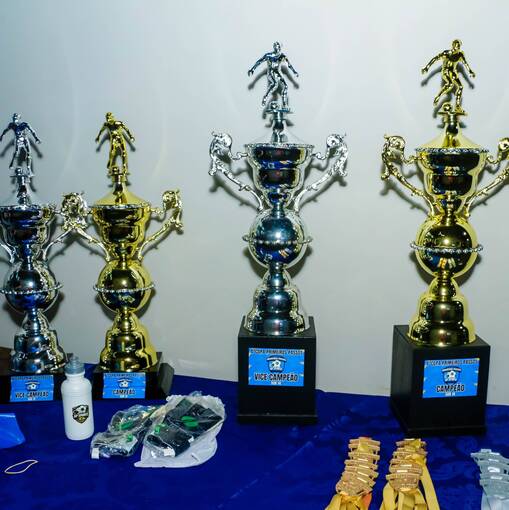 Capa do evento FINAL BRONZE 4� COPA PRIMEIROS PASSOS (ARENA 12 - CAMPINAS) 