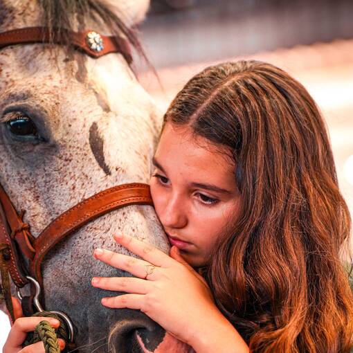 Copertura dell'evento Padoque - Arena Frigomar