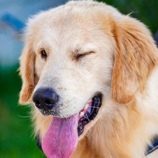 Event cover C�OMINHADA