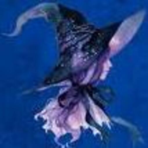 Portada del evento Conven��o das Bruxas e Magos em Paranapiacaba