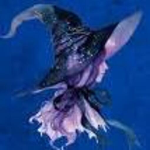 Portada del evento Conven��o das Bruxas e Magos em Paranapiacaba