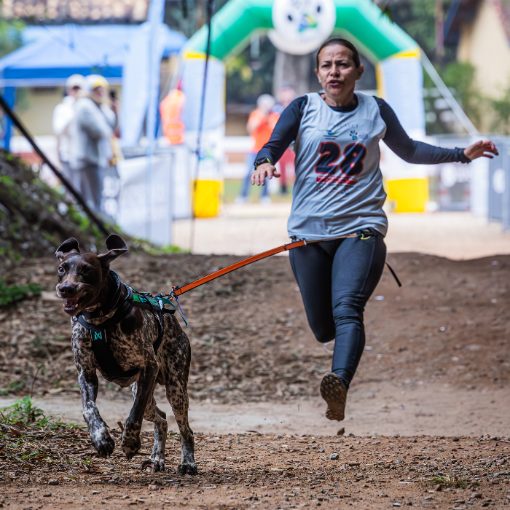 Portada del evento Campeonato Brasileiro de Canicross - LBCANIS