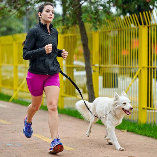 Portada del evento Treino Bosque maia - manh� - @jonathanfottos