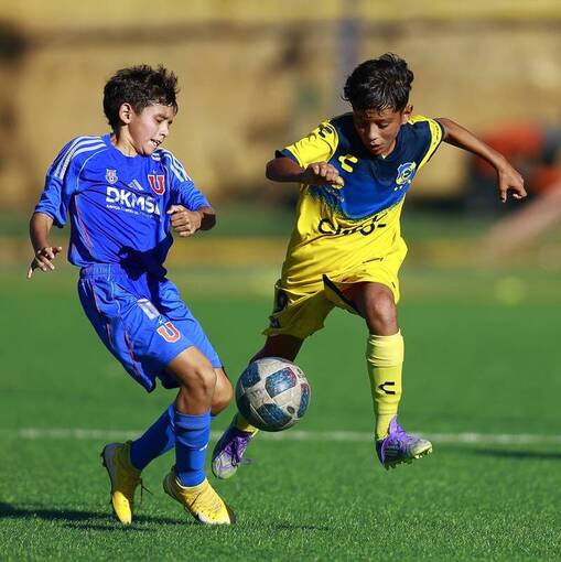 Copertura dell'evento F�tbol Infantil: Everton vs Udechile Sub 11-12