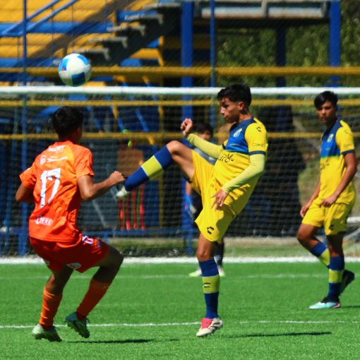 Copertura dell'evento Futbol Formativo Anfp  Everton vs Cobreloa sub 20 y sub18