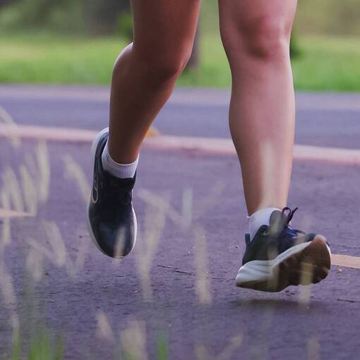 Event cover TREIN�O DE N�VER DA S�NIA