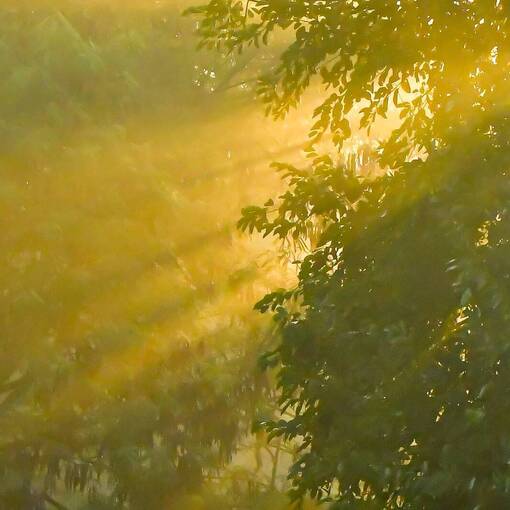 Capa do evento Av Dom Aguirre Domingo Sorocaba