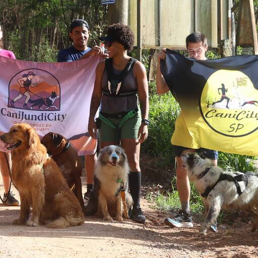 Event cover Treino Canicross Cachoeira da Curva
