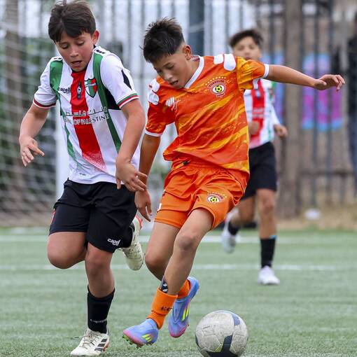 Event cover Cobreloa vs Palestino (Sub11-Sub12)