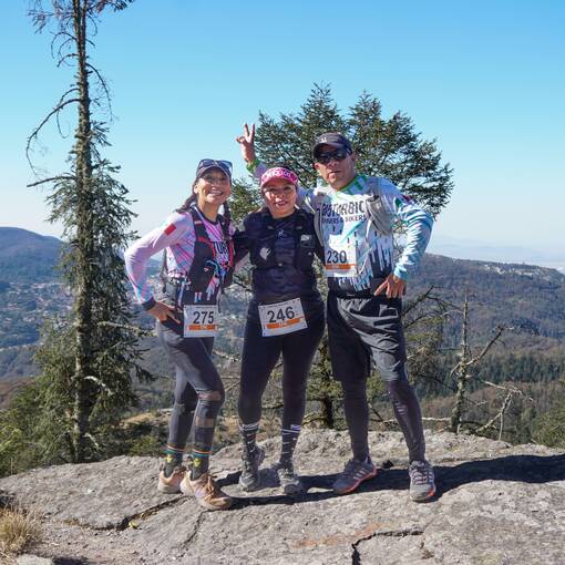 Event cover Martell Run Fest 2026