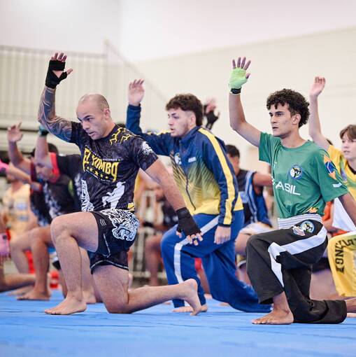 Event cover Panam Development Seminar by WAKO IF Dia 1 & 2