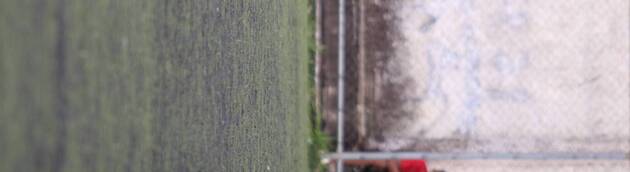 Event cover CAMPEONATO BAIANO SUB20 SERRANO X PORTO 