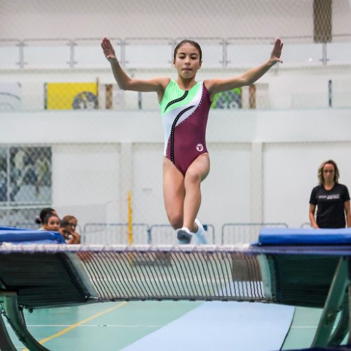 Event cover TORNEIO ESTADUAL DE GINÁSTICA DE TRAMPOLIM