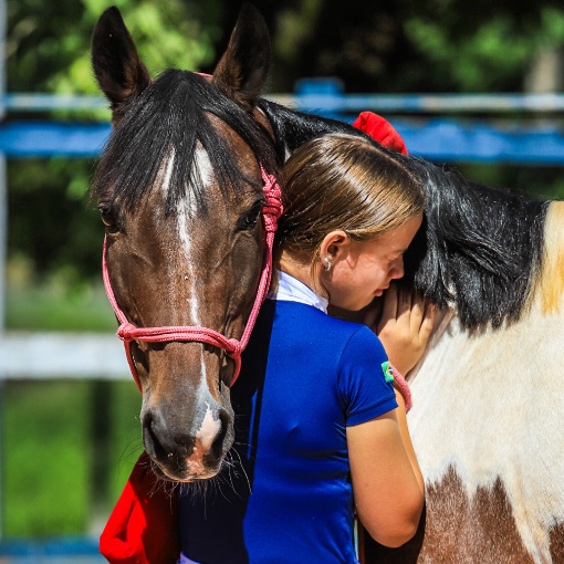 Event cover I ETAPA RANKING INTERNO H�PICA MAR/26