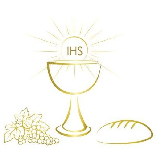 Copertura dell'evento PRIMEIRA EUCARISTIA - S�O JOS� 