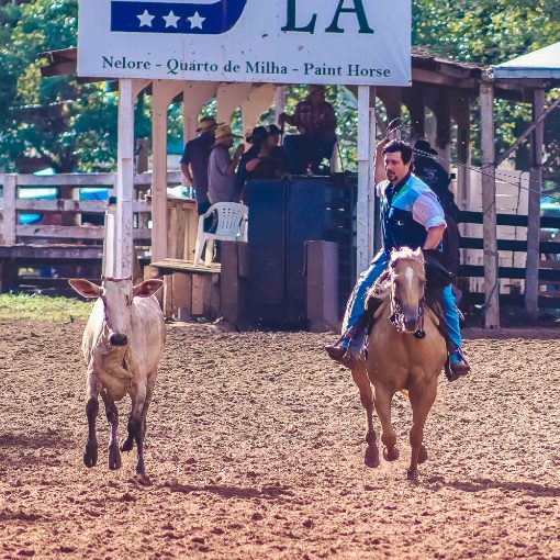 Copertura dell'evento PROVA DO LA�O COMPRIDO