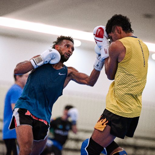 Capa do evento Panam Development Seminar by WAKO IF Dia 4