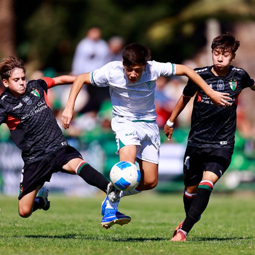 Copertura dell'evento F�tbol Infantil: Wanderers vs Palestino Sub 13-14