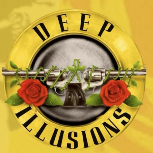 Event cover GUNS N ROSES - SUNSET ROCK V - TERRA�O VIANNA - Piracicaba - SP - Dia 28/03