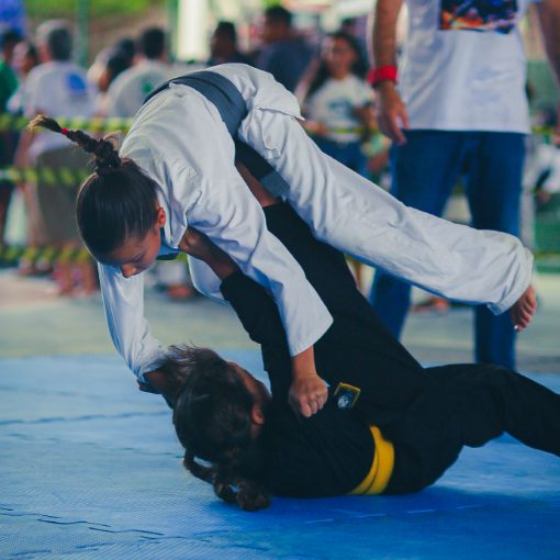 Event cover Feras do Jiujitsu 