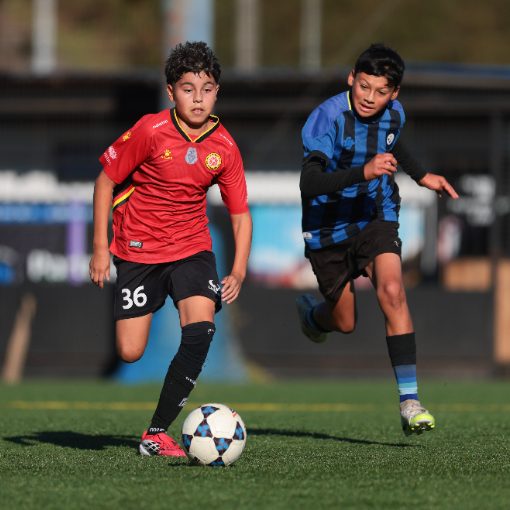 Event cover Huachipato vs Club Deportivo Alem�n (Sub10-Sub11-Sub12)