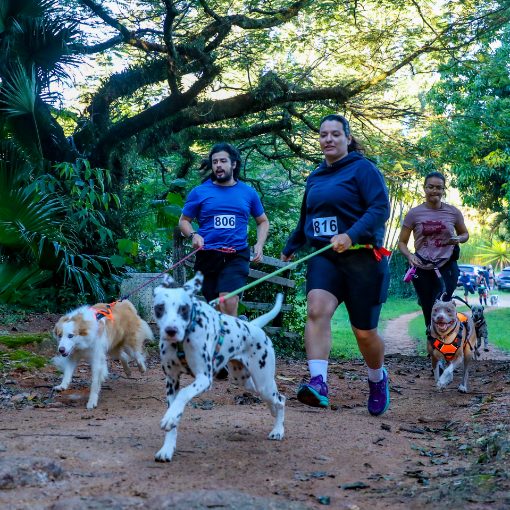 Event cover Trein�o Intermunicipal de Canicross - CaniJundiCity, RMC e CaniSorocaba