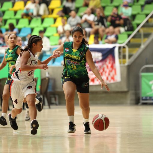 Portada del evento SALTAMONTES U13 FEMENINO vs BEARS
