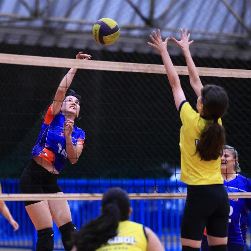 Capa do evento Treino Poli Dom Bosco