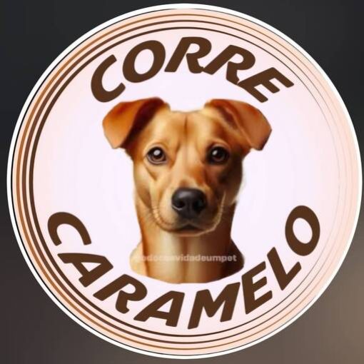 Event cover Meus Treinos  -  Corre Caramelo 