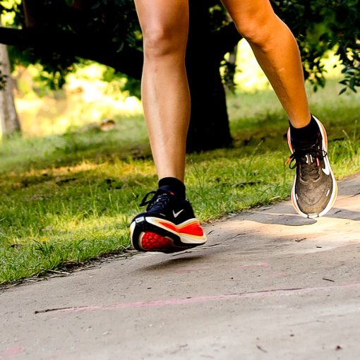 Event cover Treino de Corrida - Parque Dom Quixote - Sexta Santa Manh�