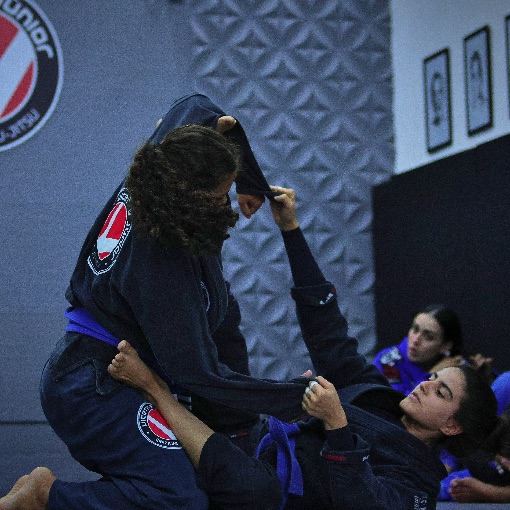 Capa do evento Vicente Jr. Jiu-Jitsu - Treino Feminino