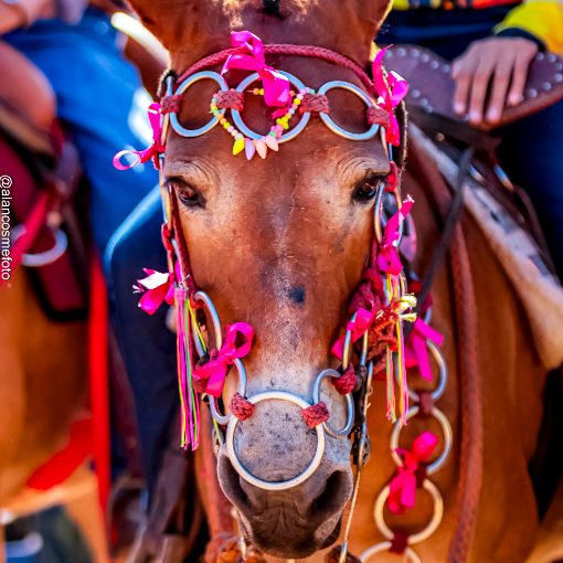 Event cover Cavalgada Oficial do C�rculo Matogrossense 