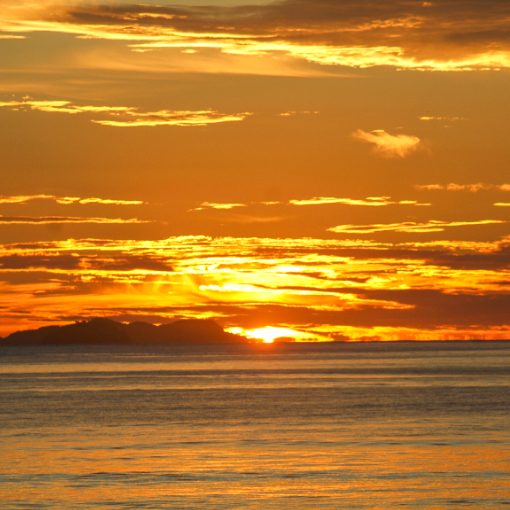 Event cover Treinos Ubatuba  S�bado  04/04/25