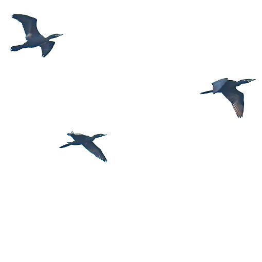 Event cover Avenida Dom Aguirre s�bado Sorocaba