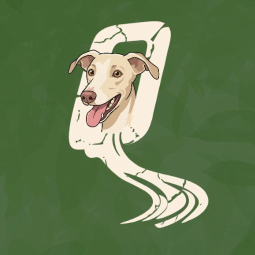 Capa do evento Quedas Adventure Racing Etapa Zara