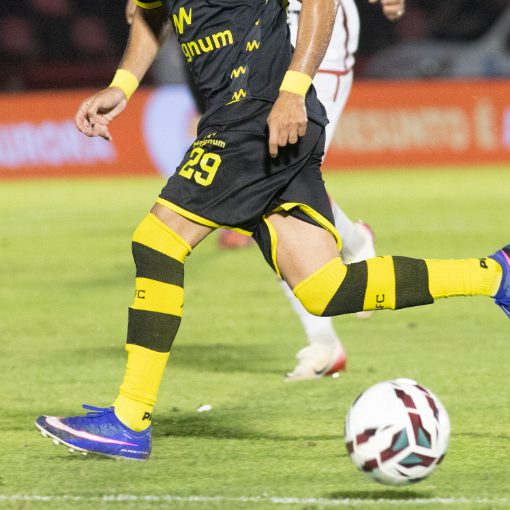 Capa do evento Botafogo SP x S�o Bernardo do Campo