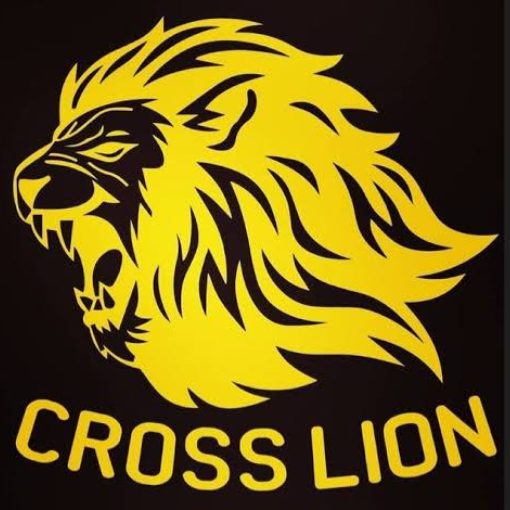 Event cover Midia Day - Cross Lion